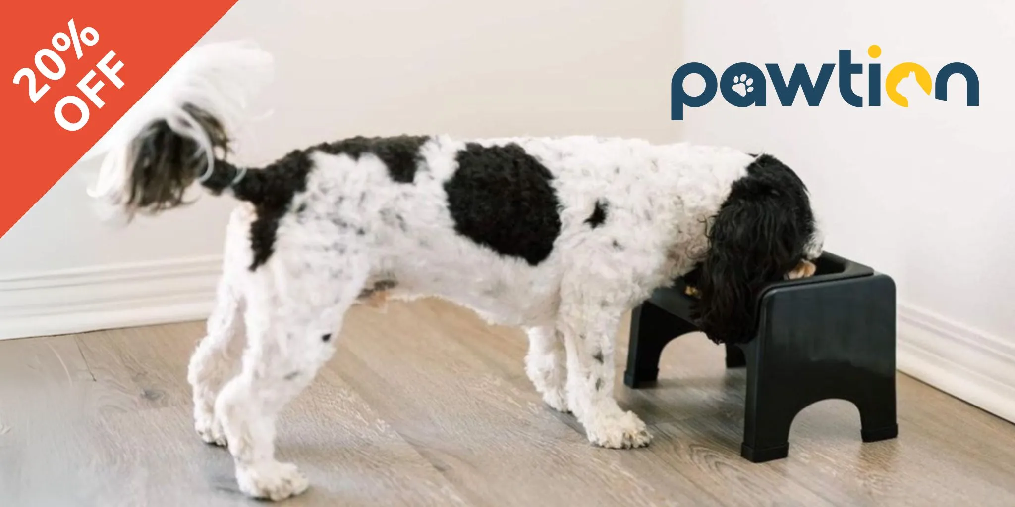 Pawtion FluffTrough elevated feeding bowl for dogs