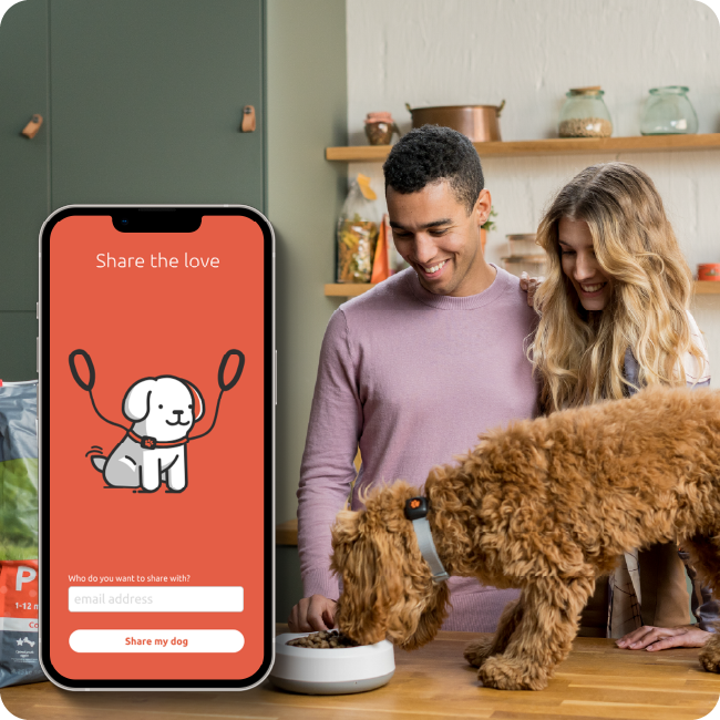 Share your dog