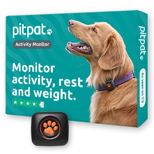 Activity Monitor