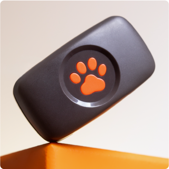 PitPat GPS included