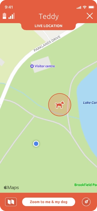 Get live location updates every few seconds