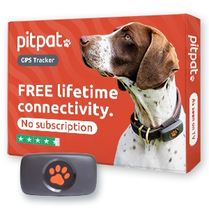 No subscription