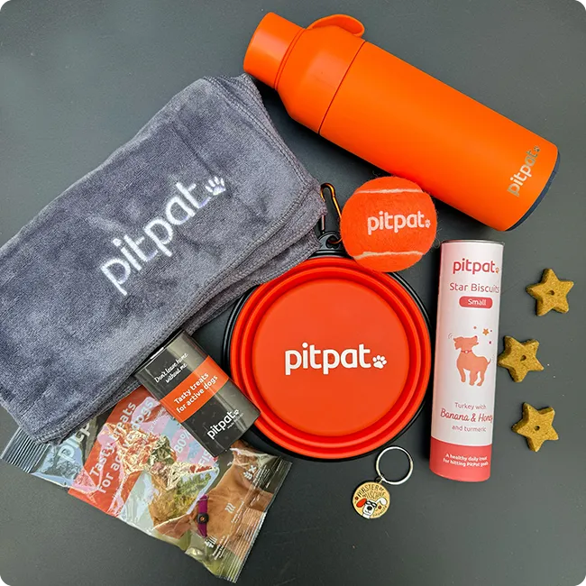 Earn Points and Prizes