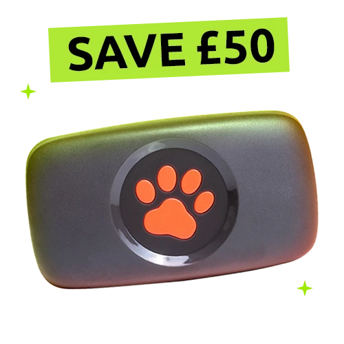 Save £50 on PitPat GPS this Black Friday