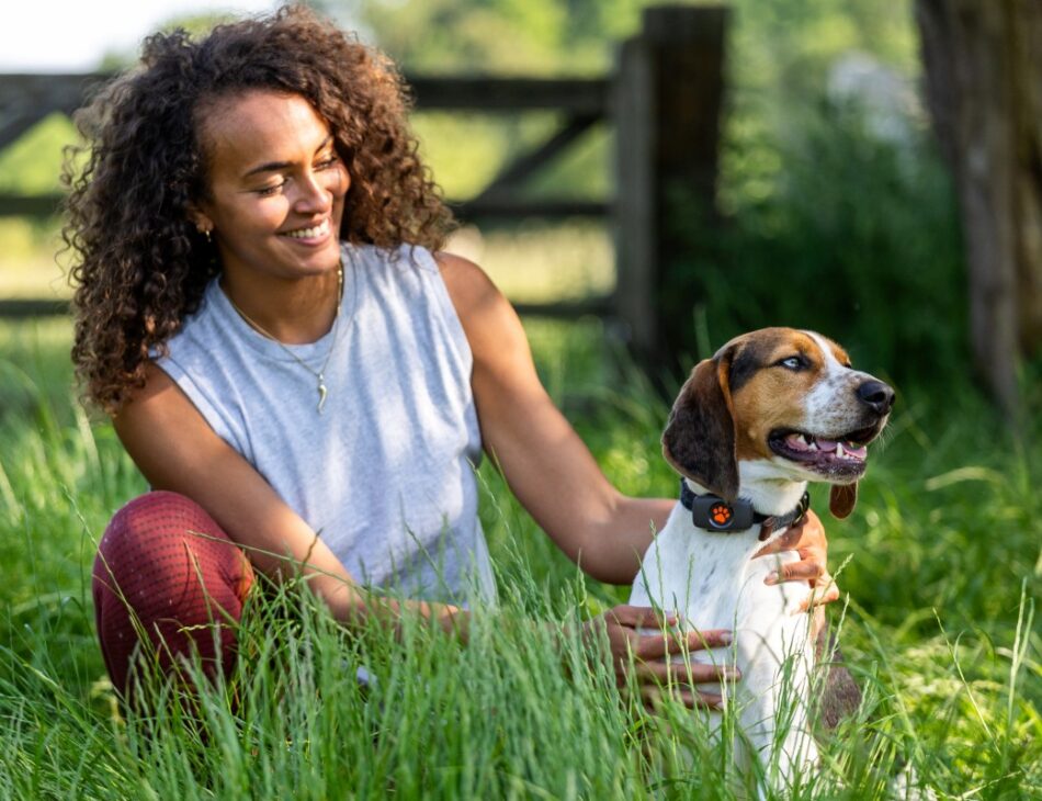 Women kneeling in field with a mix breed beagle wearing a black PitPat GPS