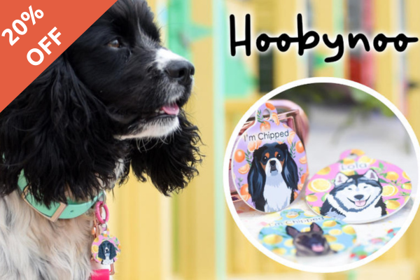 Black and white dog wearing a customised Hoobynoo dog tag