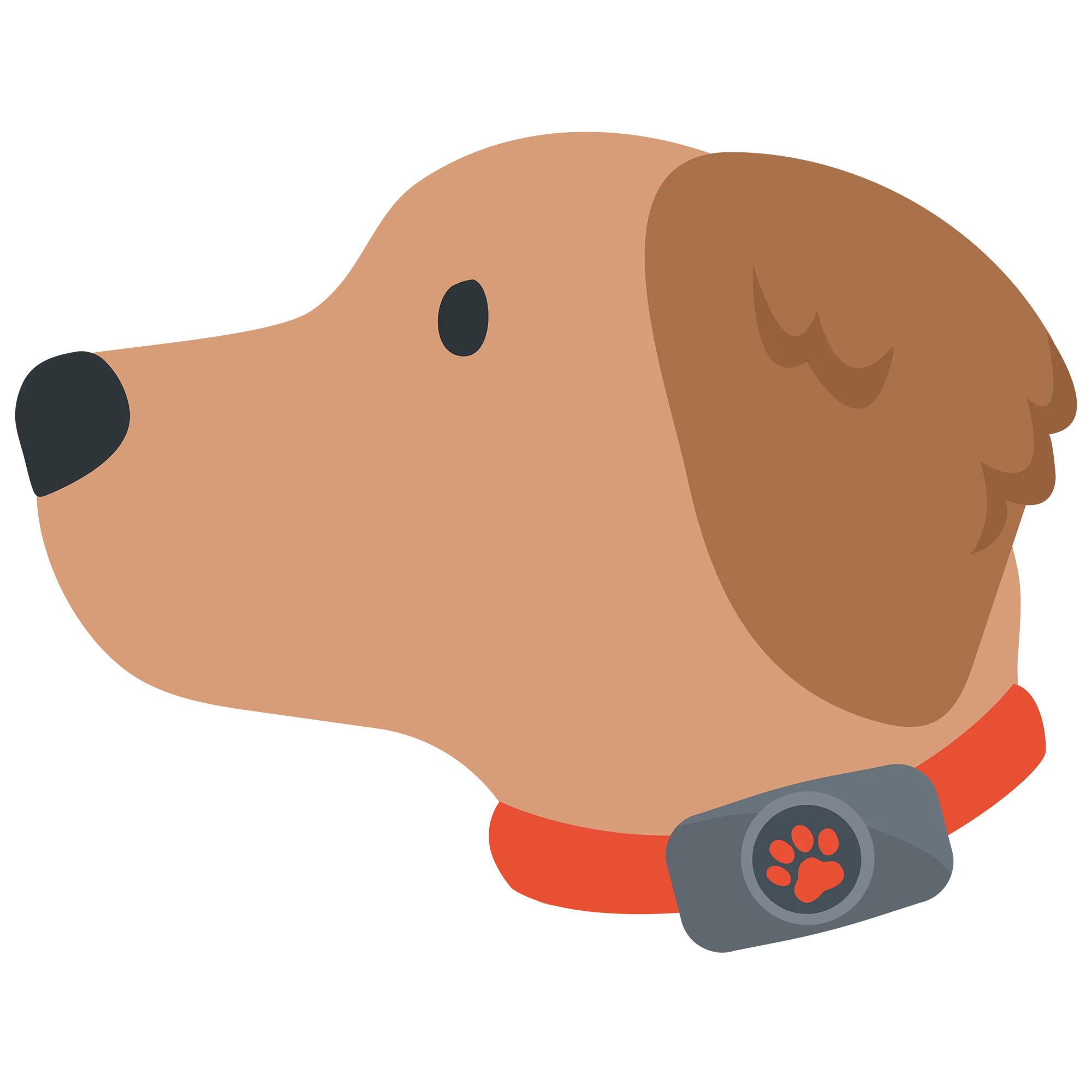 5. Get real-time location updates