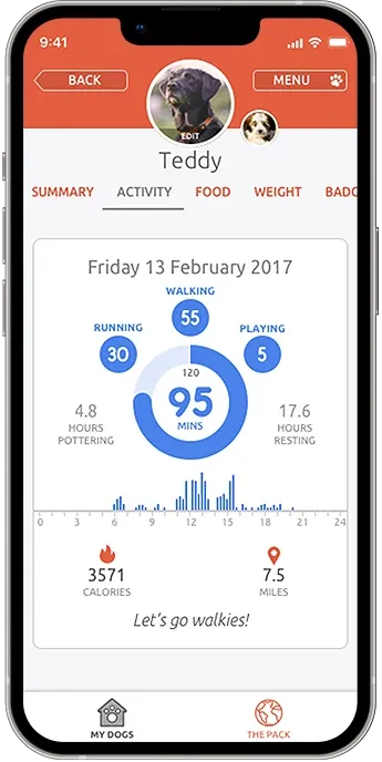 PitPat app showing the activity tab
