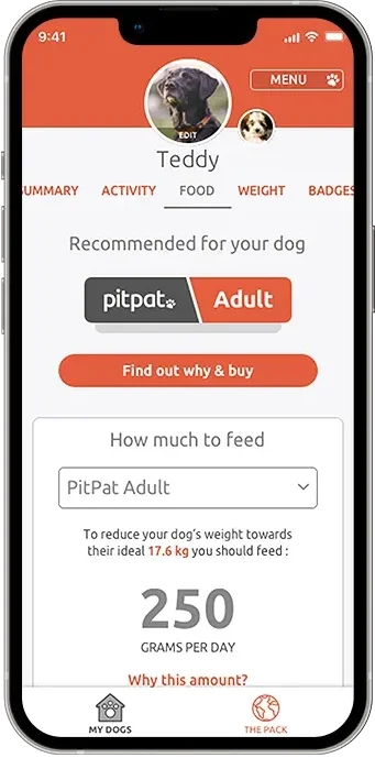 PitPat app showing the food tab