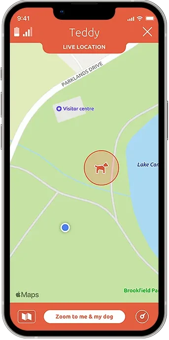 PitPat app showing the location tab