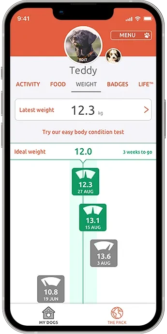 PitPat app showing the weight tab