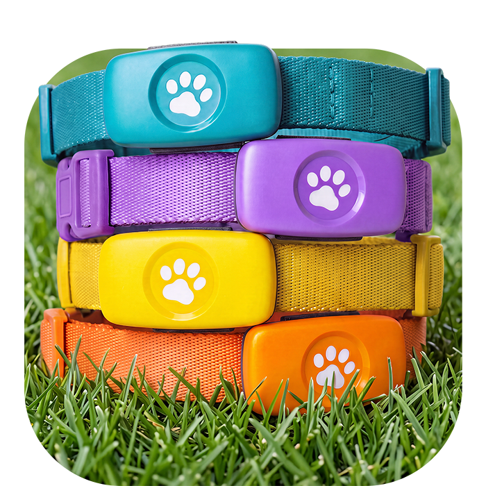 The limited edition PitPat GPS devices in a collar stack